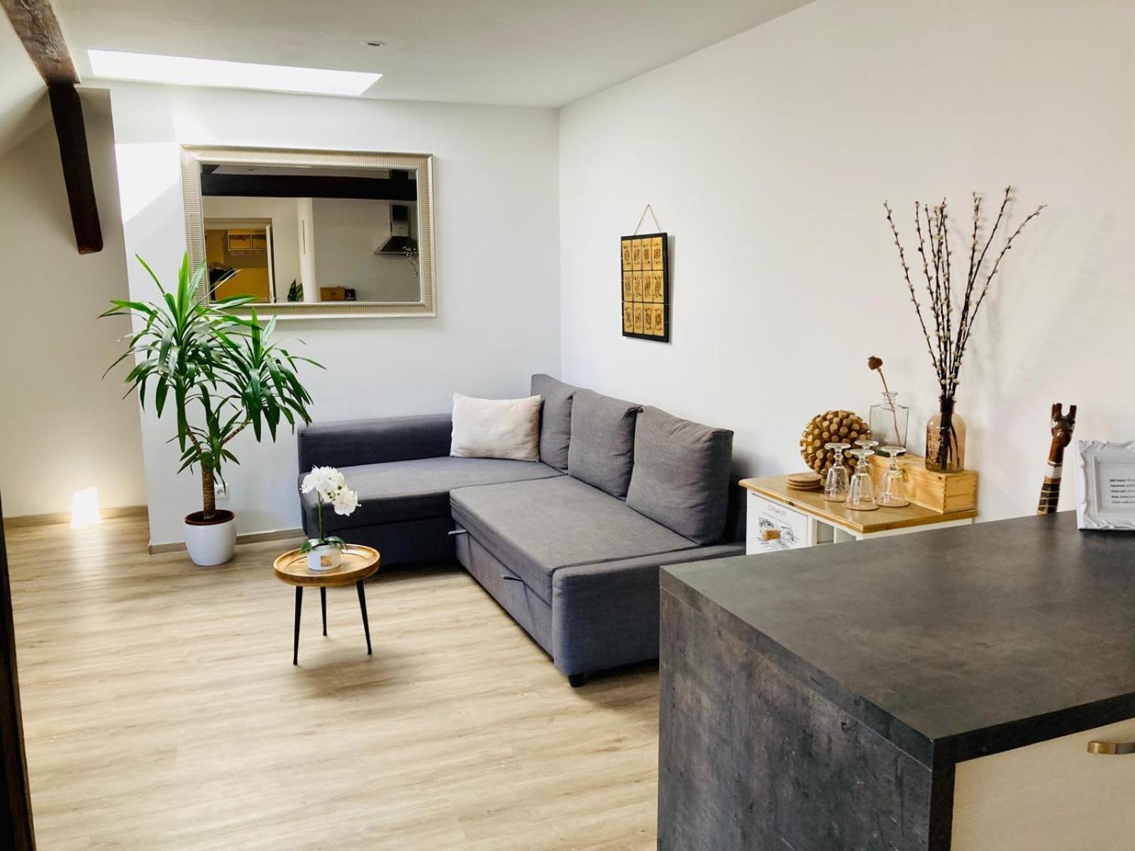 Vip Apartment In Old Town With Free Parking Bratislava Exterior photo